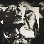 - The Niu, Leo By Ihg 3* Norimberk