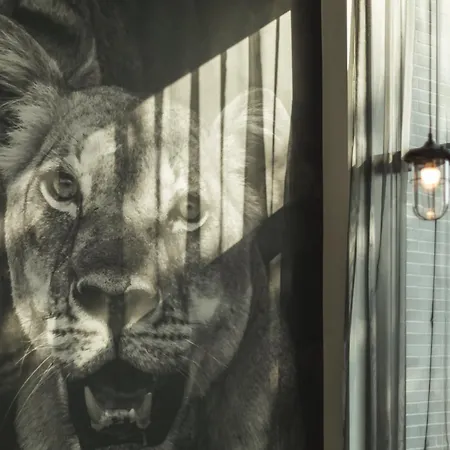 - The Niu, Leo By Ihg Nürnberg