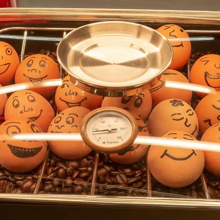 - The Niu, Leo By Ihg Hotel