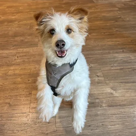 - The Niu, Leo By Ihg Hotel Nürnberg