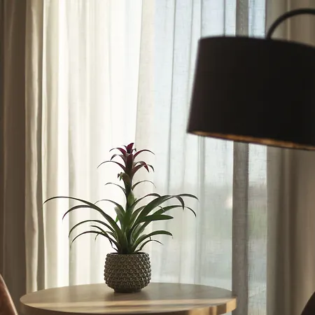 - The Niu, Leo By Ihg 3*